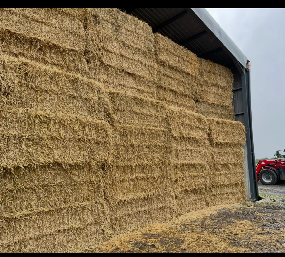 Wheaten straw 8x4x3