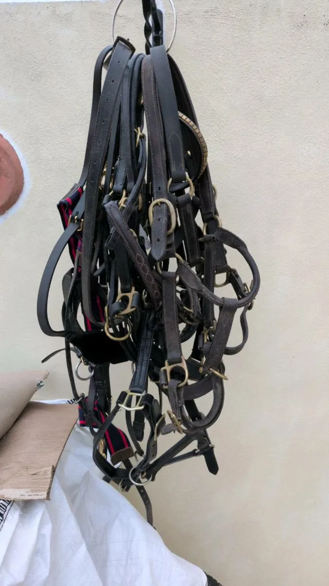 Martingales and girths - Image 2