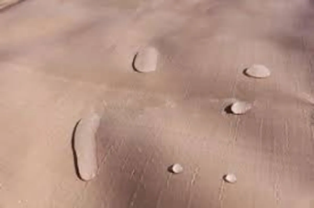 Tarpaulin boat covers - Image 2