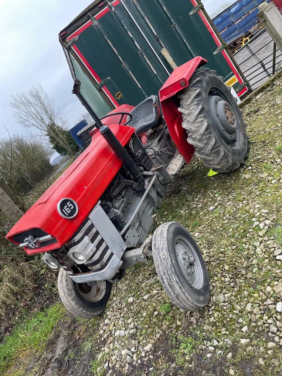 Massey Ferguson 165 - Image 3