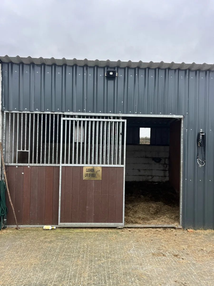stable front with door and dividers - Image 1