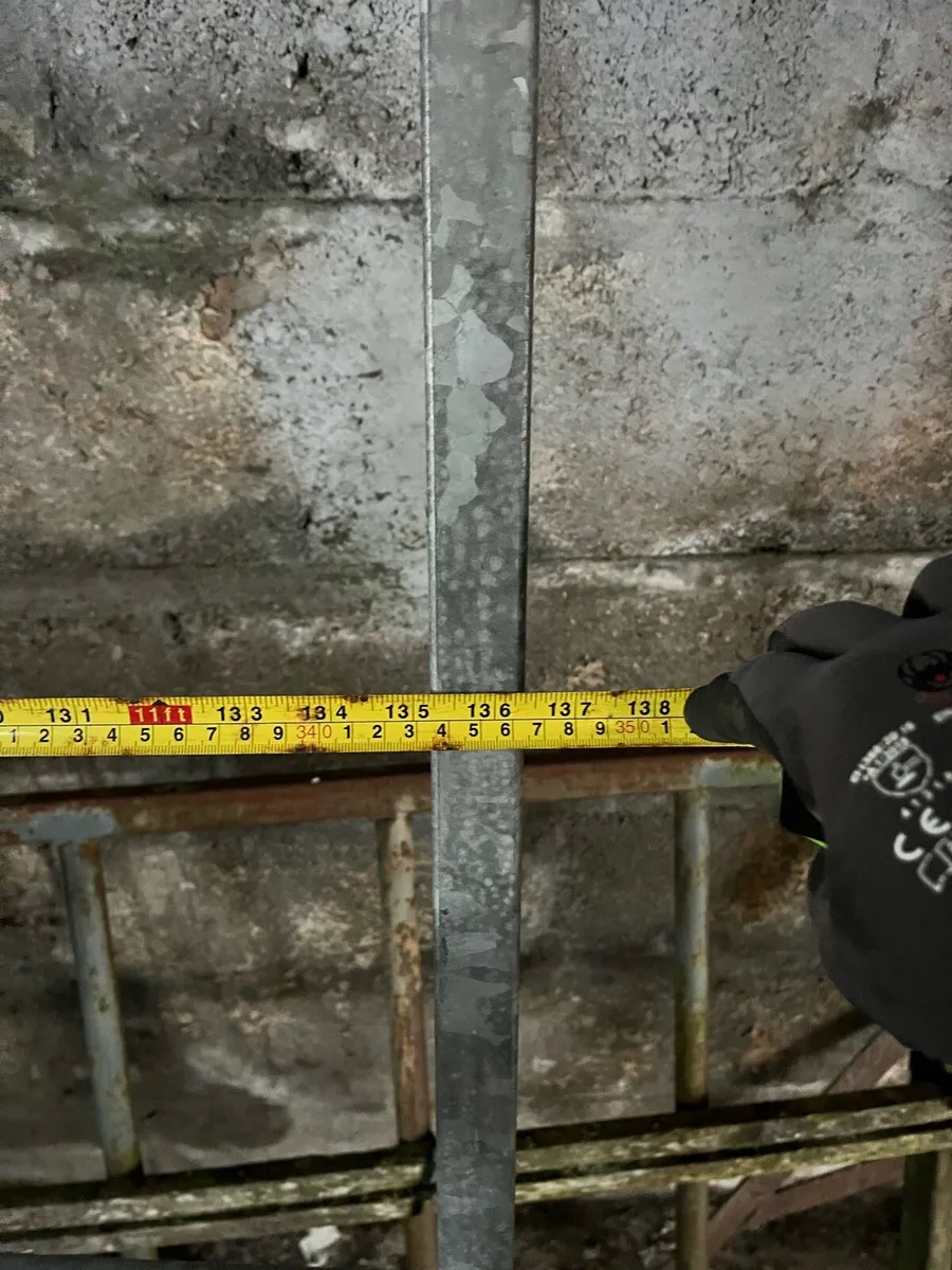 stable front with door and dividers - Image 3