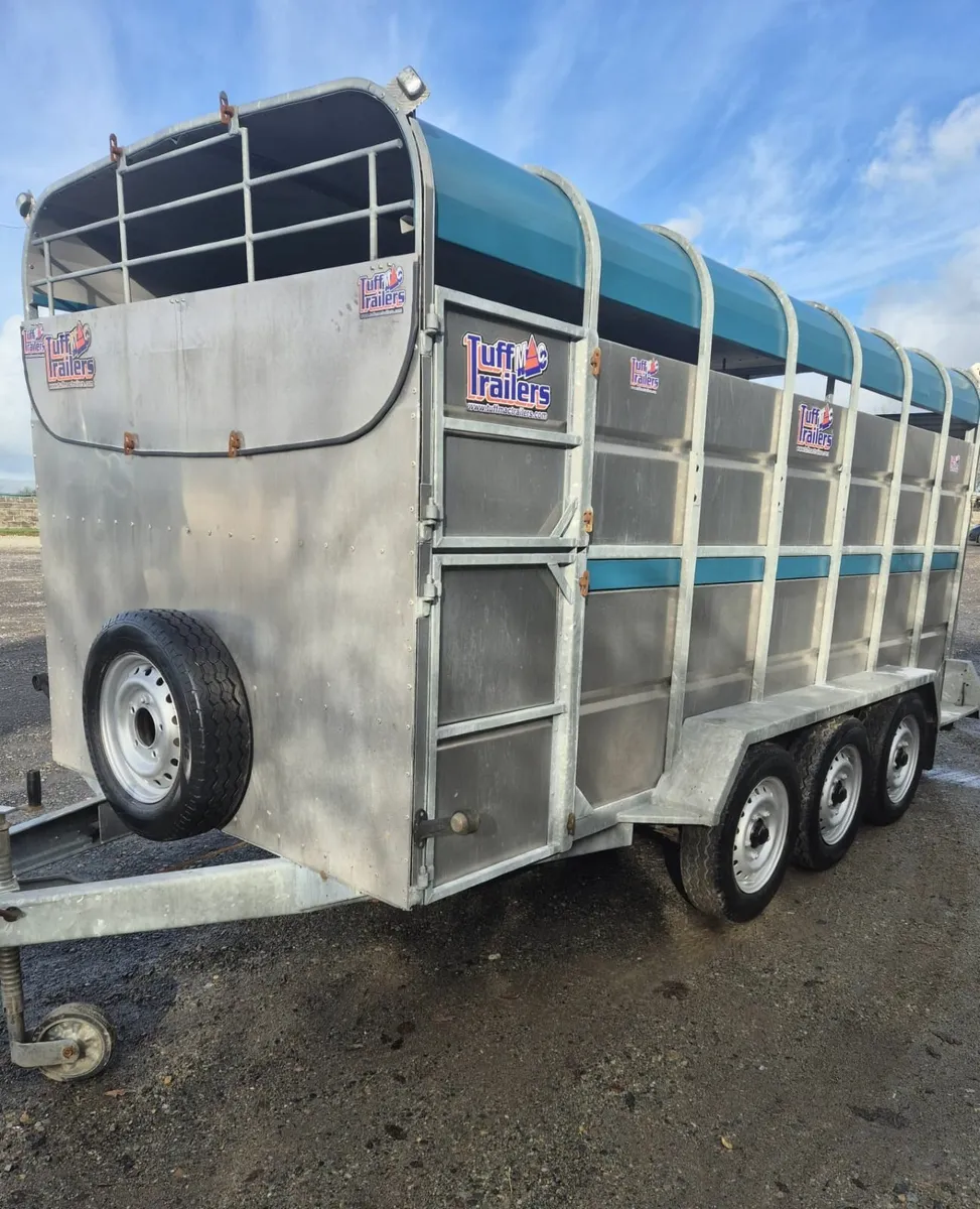 Tuffmac 14 x 6 cattle trailer - Image 2