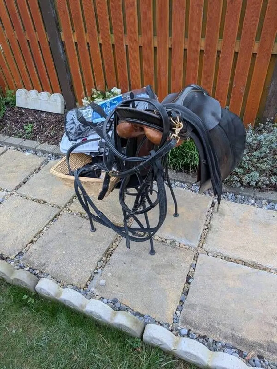 Equestrian complete horse riding set - Image 3