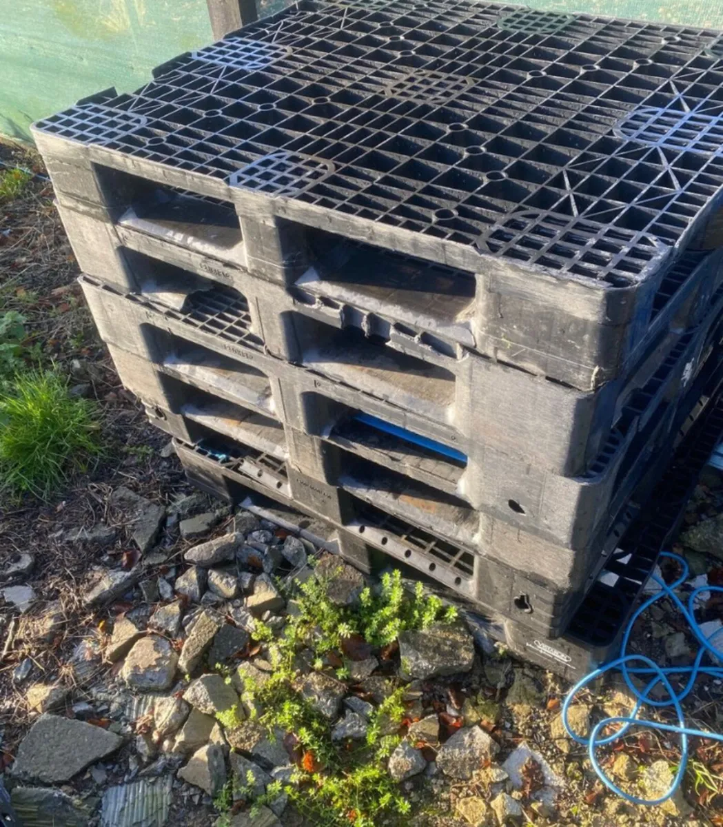 Heavy plastic pallets - Image 1