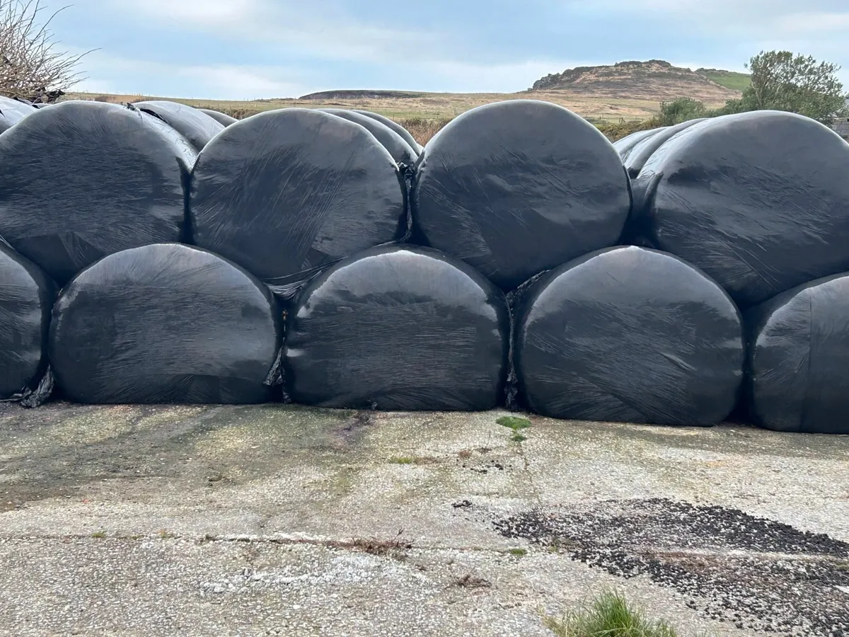 Silage Bales