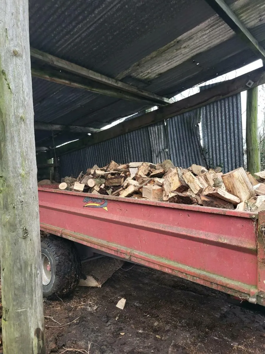 Firewood - Image 1