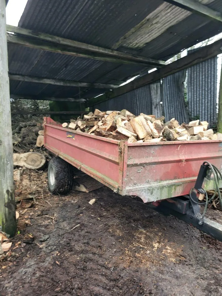 Firewood - Image 2