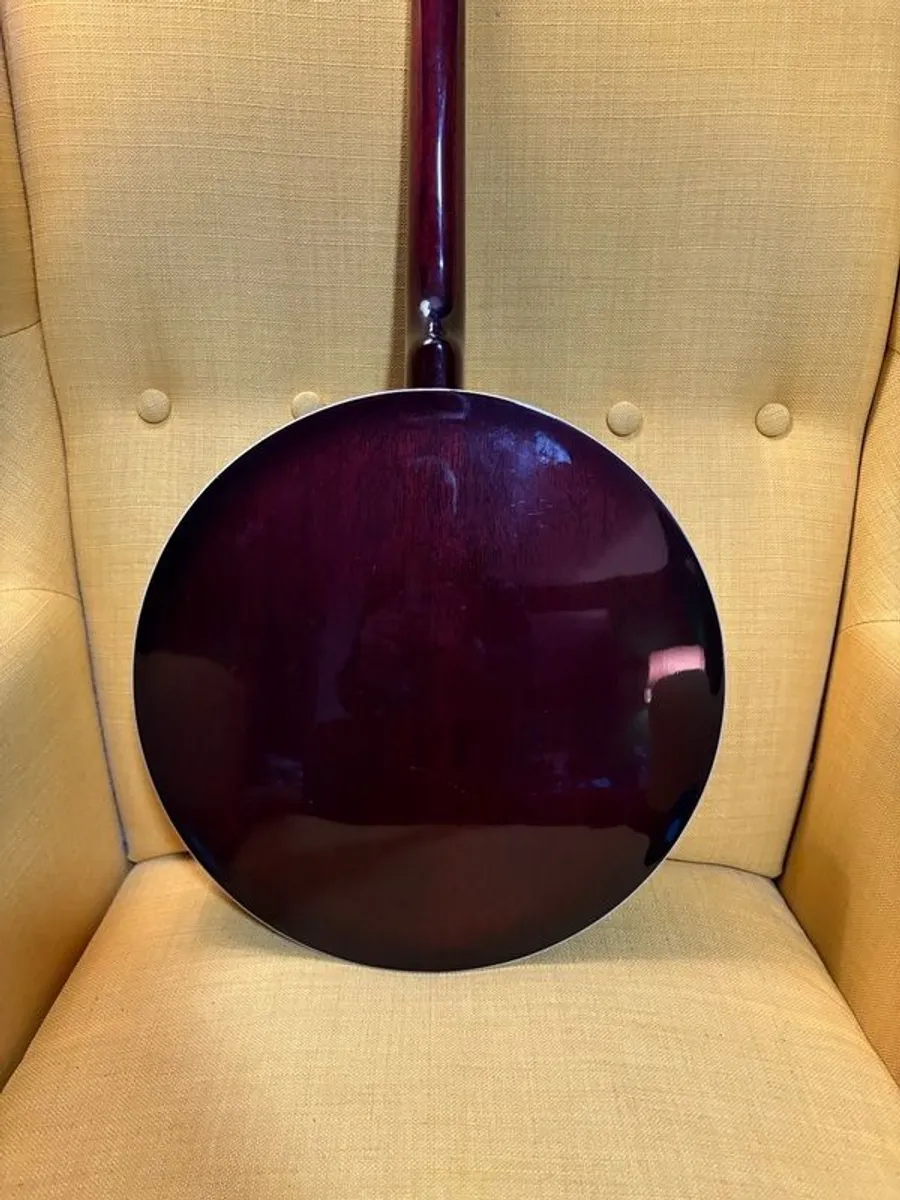 Samick Artist Series 4-string tenor banjo - Image 2