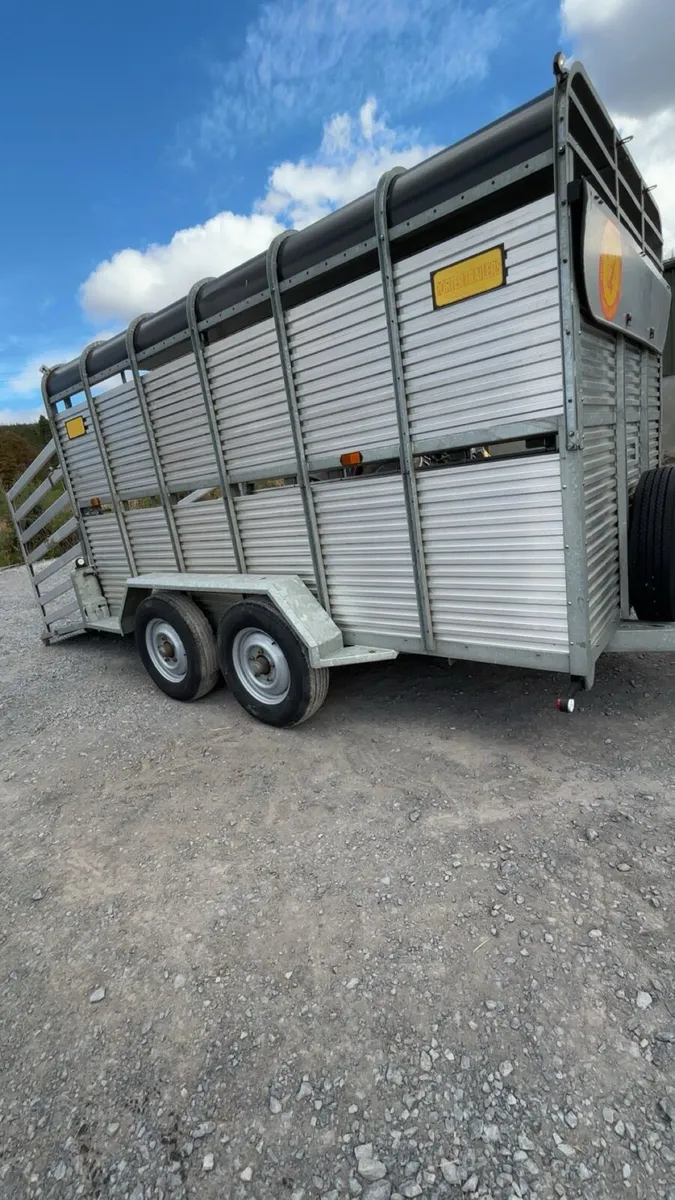 Porter  12x6. Cattle trailer - Image 2