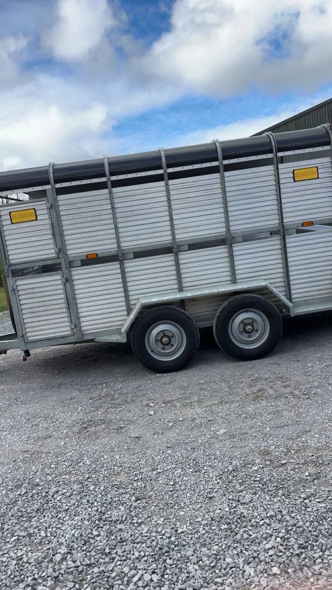 Porter  12x6. Cattle trailer - Image 3
