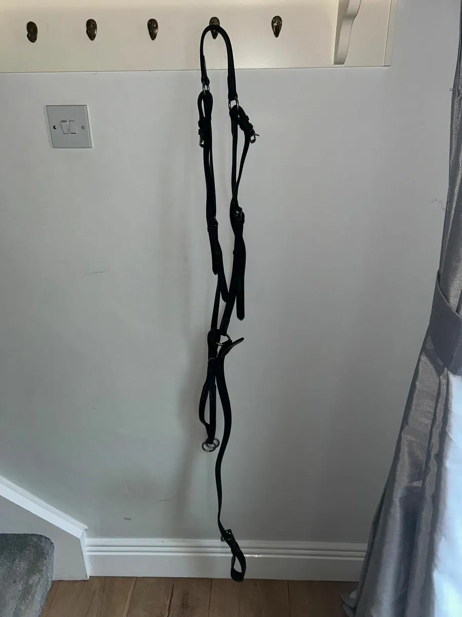 Martingale and bridle - Image 1