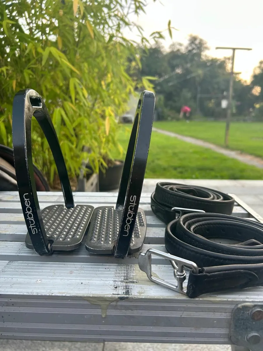 Martingale and bridle - Image 2