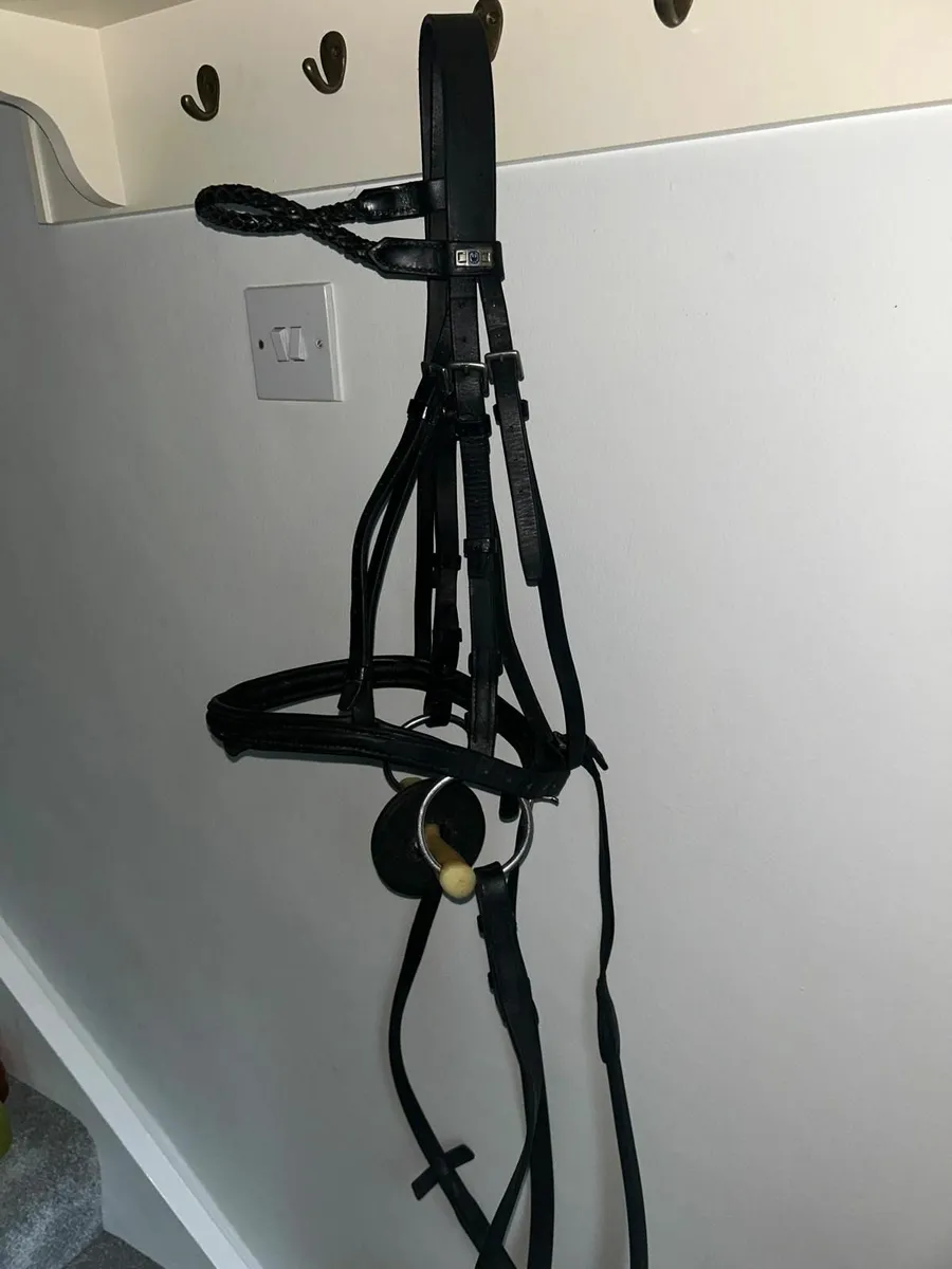 Martingale and bridle - Image 3