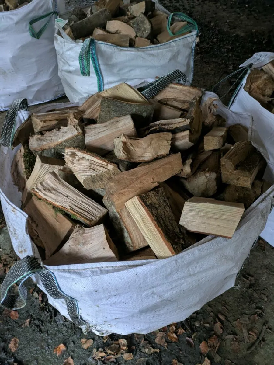 Fire wood - Image 1
