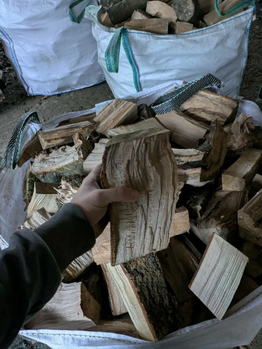 Fire wood - Image 2