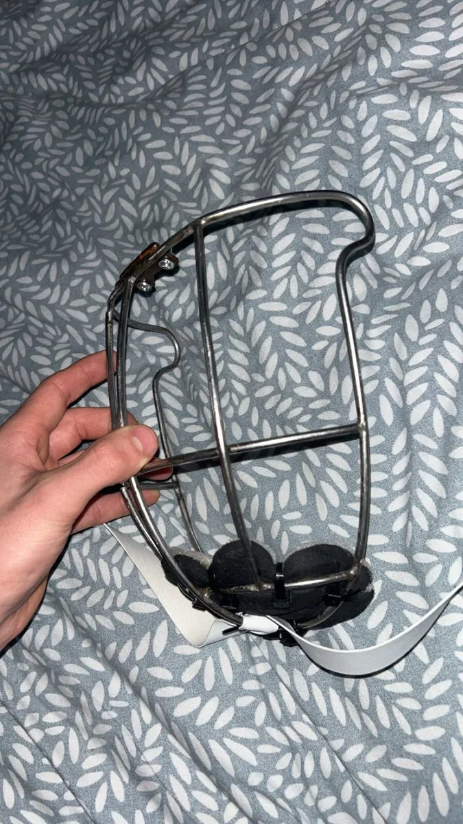 Oldstyle Gaurd - Image 2