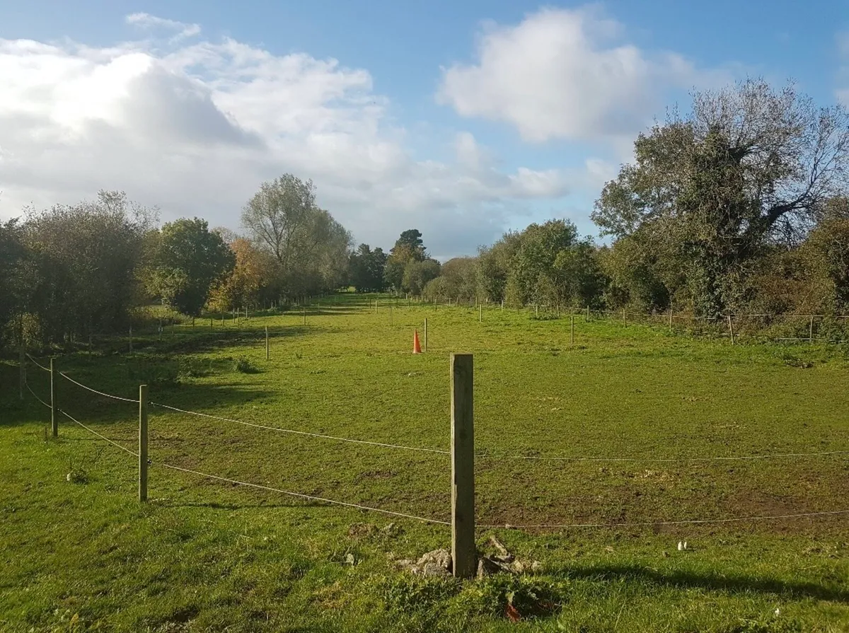 Livery available - Image 4