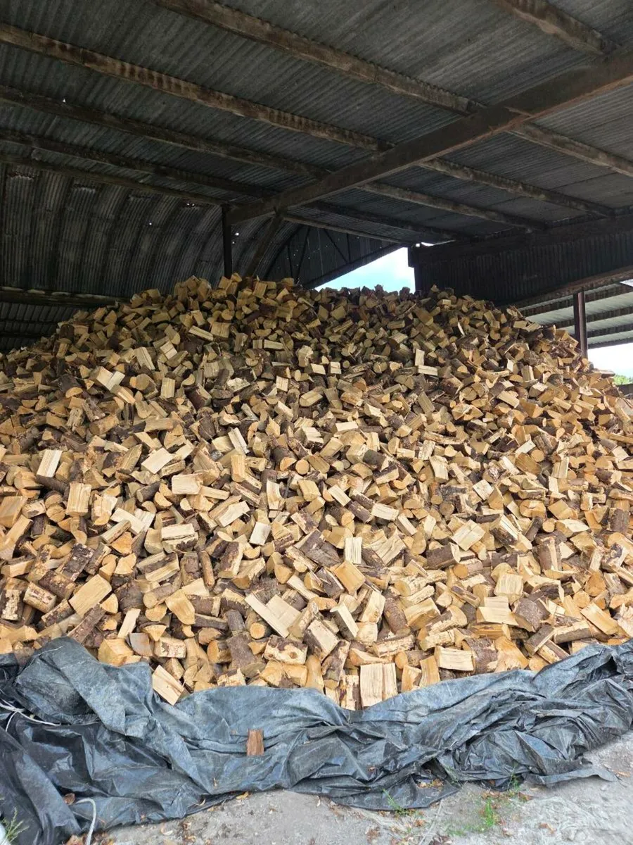 Seasoned larch firewood - Image 1