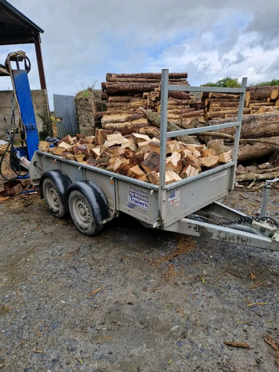 Seasoned larch firewood - Image 2