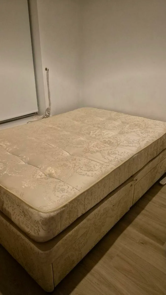 Double Devan Bed with Matress - Image 1