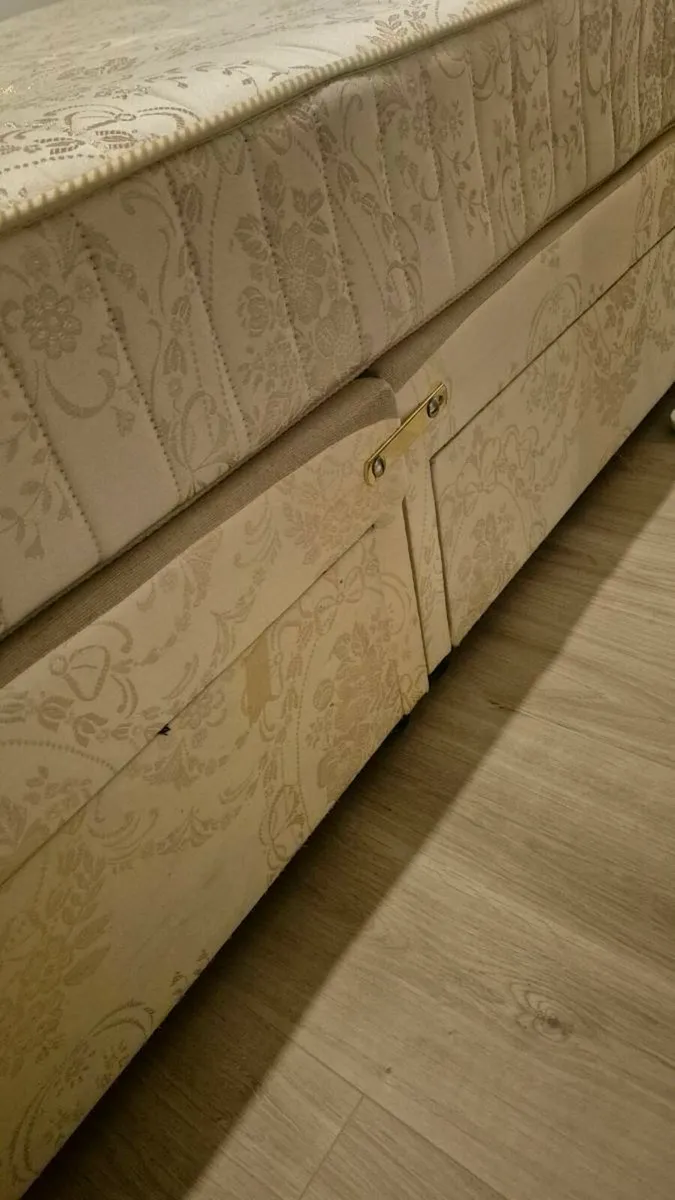 Double Devan Bed with Matress - Image 3