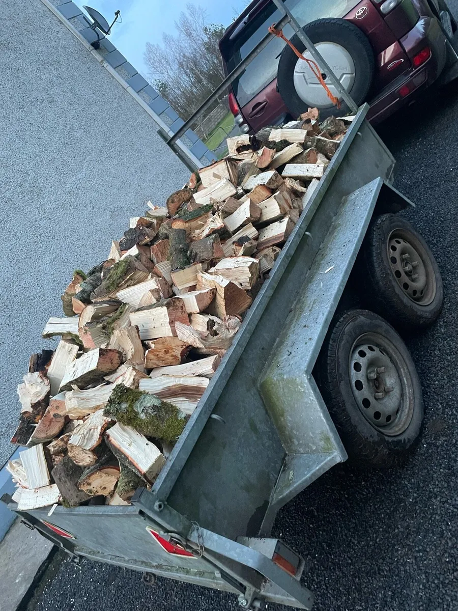 Firewood - Image 2