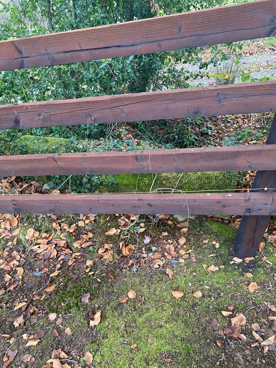 Limestone obelisk - Image 2