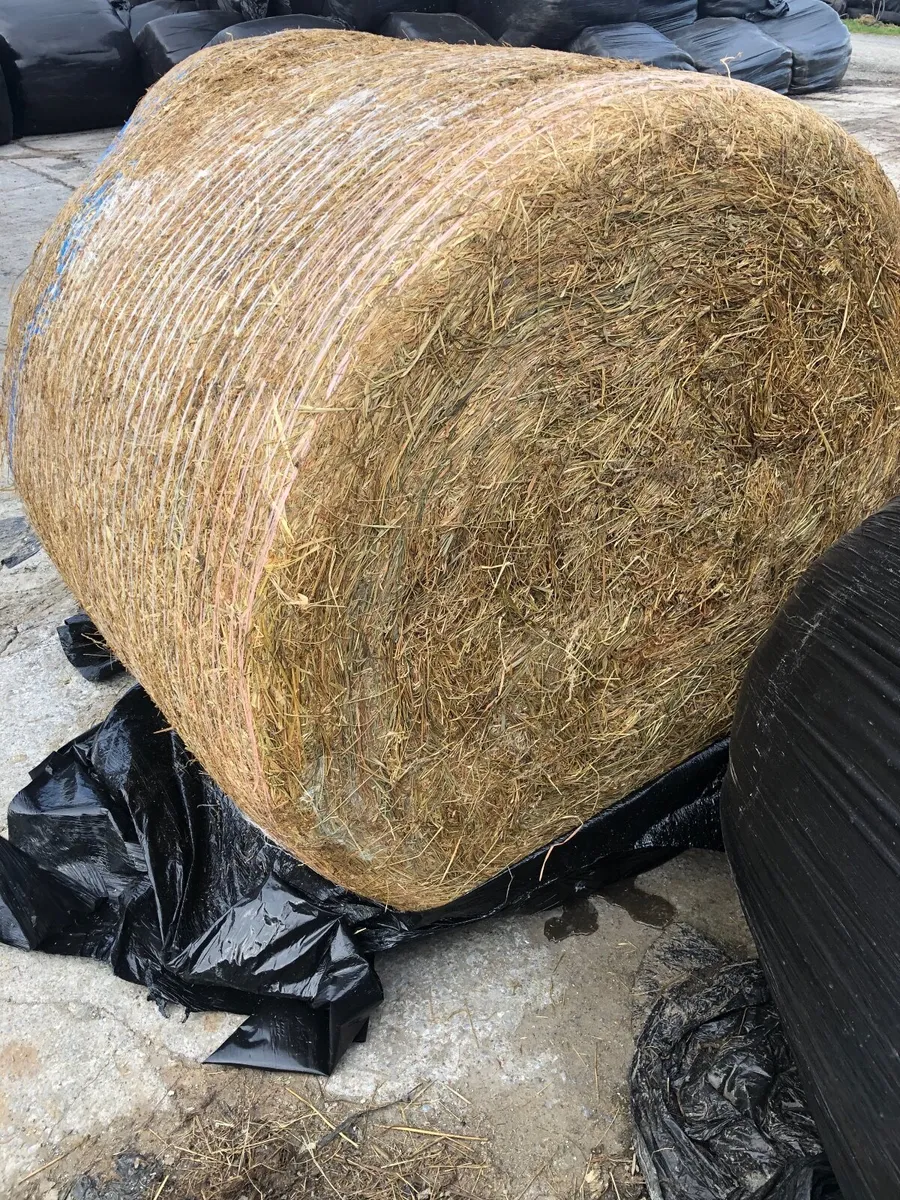 Hay for sale - Image 1