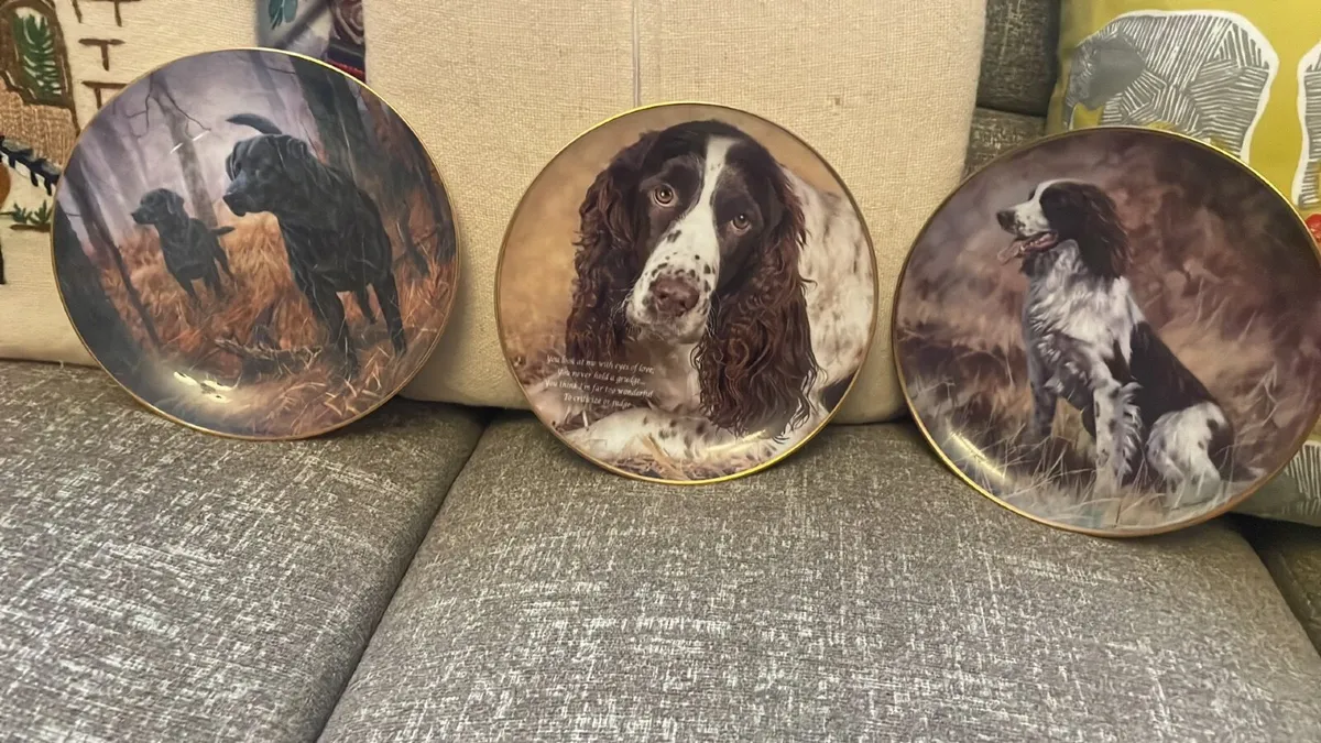 LIMITED EDITION PICTURE PLATES OF DOGS