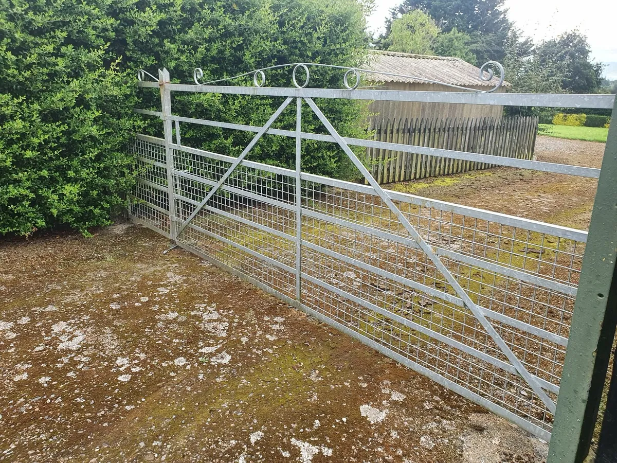 Galvanised Gate. - Image 4