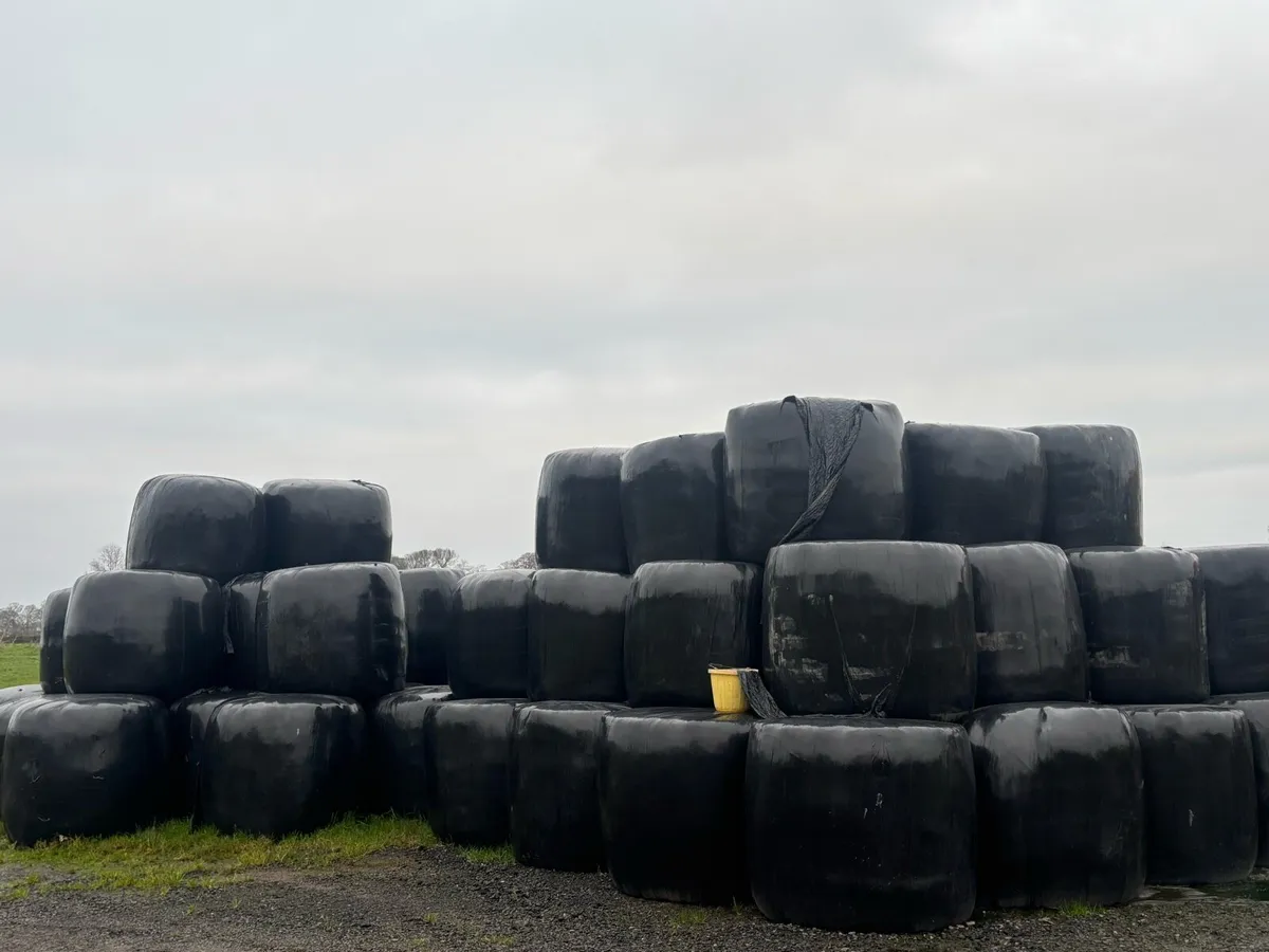 Silage bales