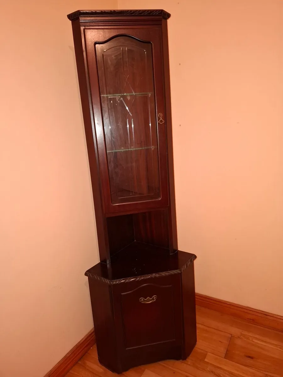 Living Room Corner Unit Display Case - Image 1