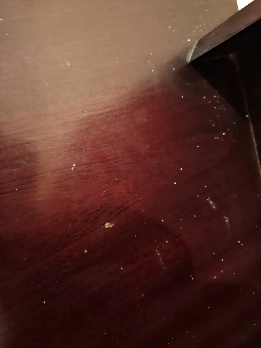 Living Room Corner Unit Display Case - Image 3