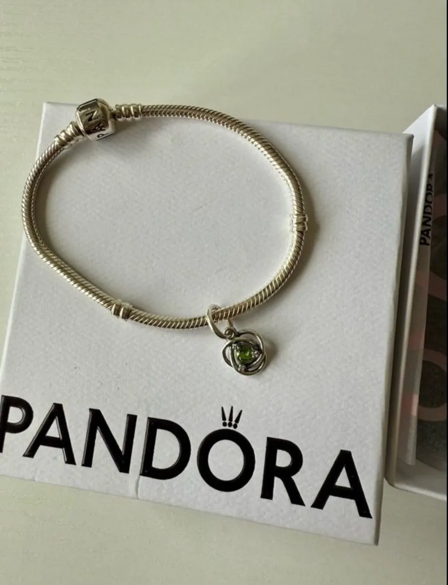 Brand new Pandora Moments bracelet with charm - Image 3