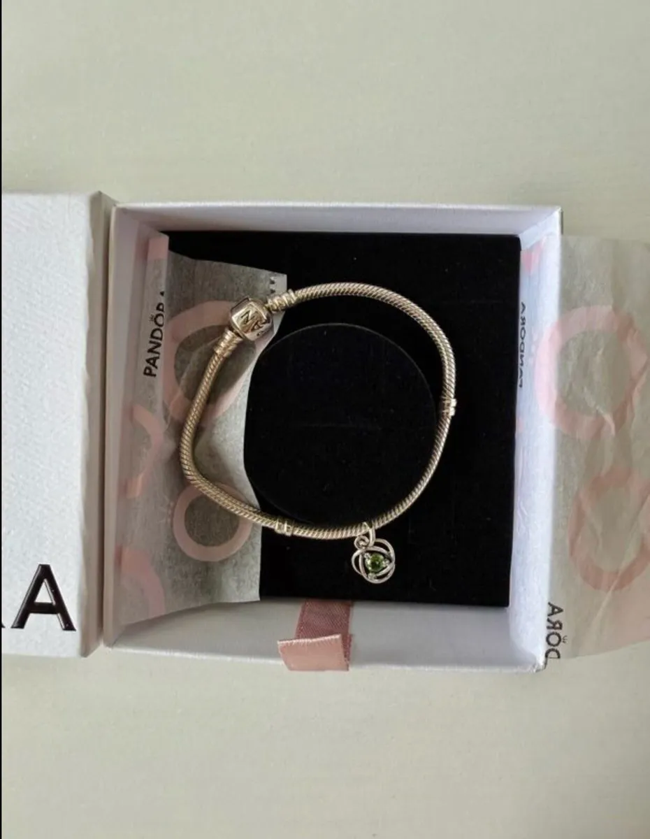 Brand new Pandora Moments bracelet with charm - Image 4