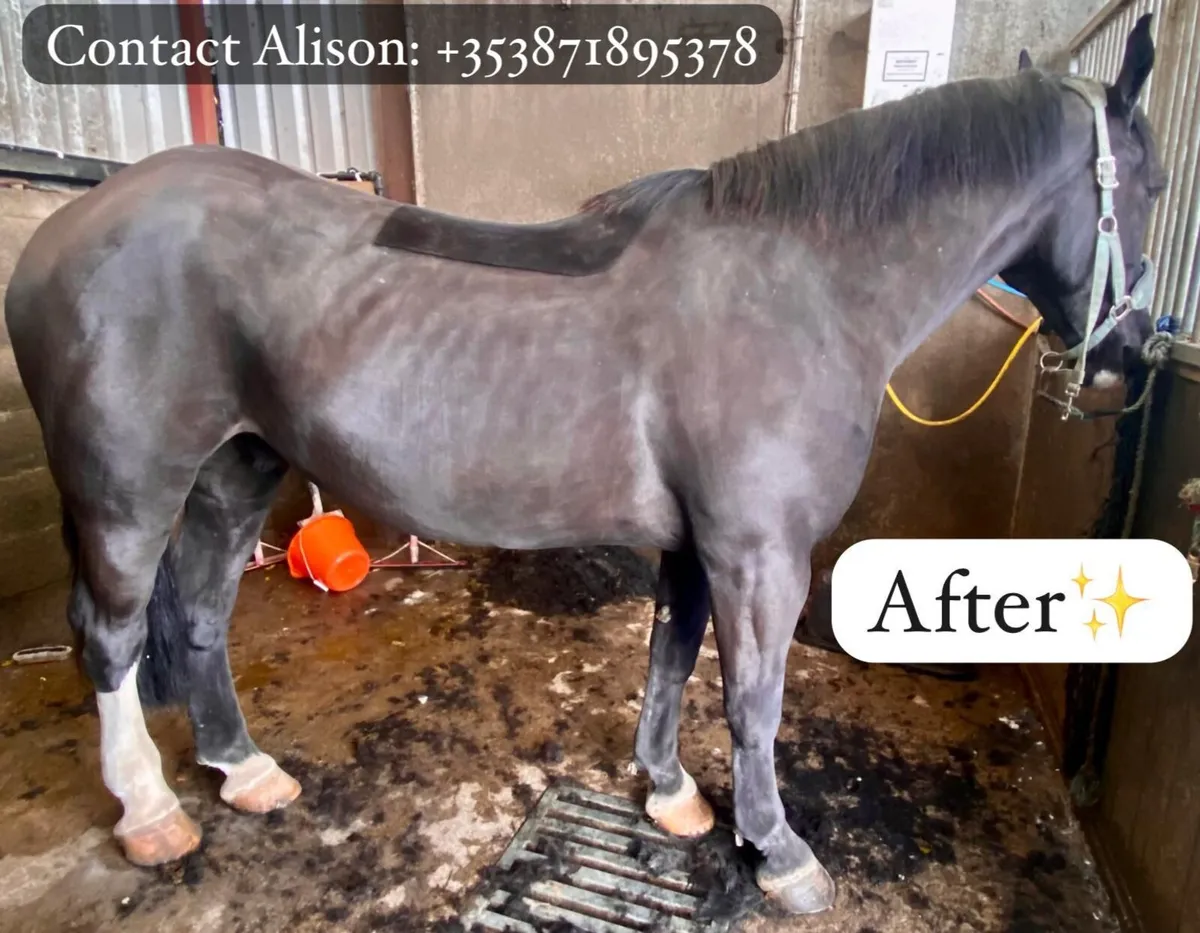 Clipping/Plaiting Service - Image 3