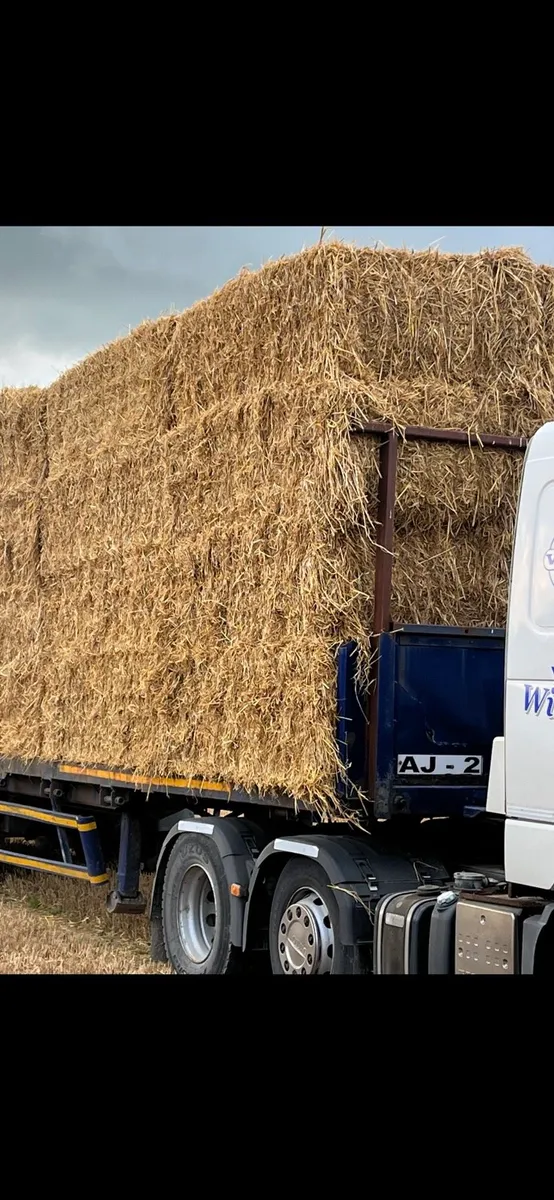 Golden Straw big square and round - Image 3