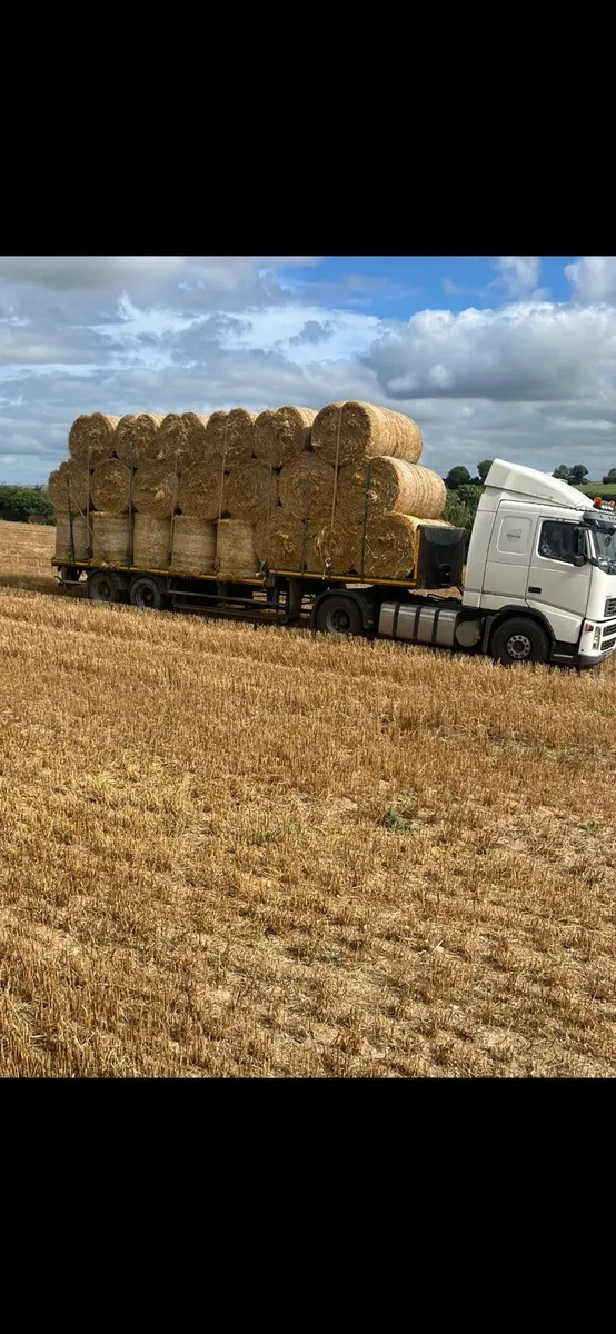 Golden Straw big square and round - Image 4