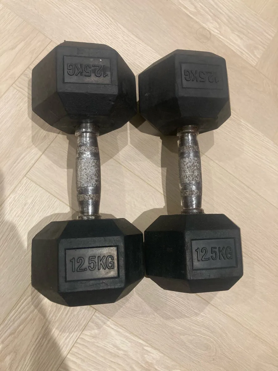 Dumbbells 12.5kg - Image 1