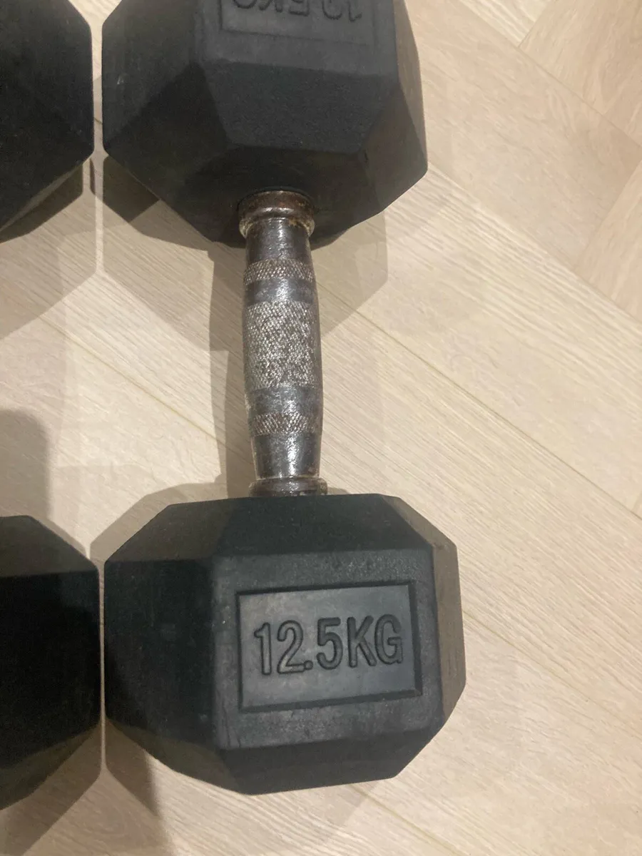 Dumbbells 12.5kg - Image 2