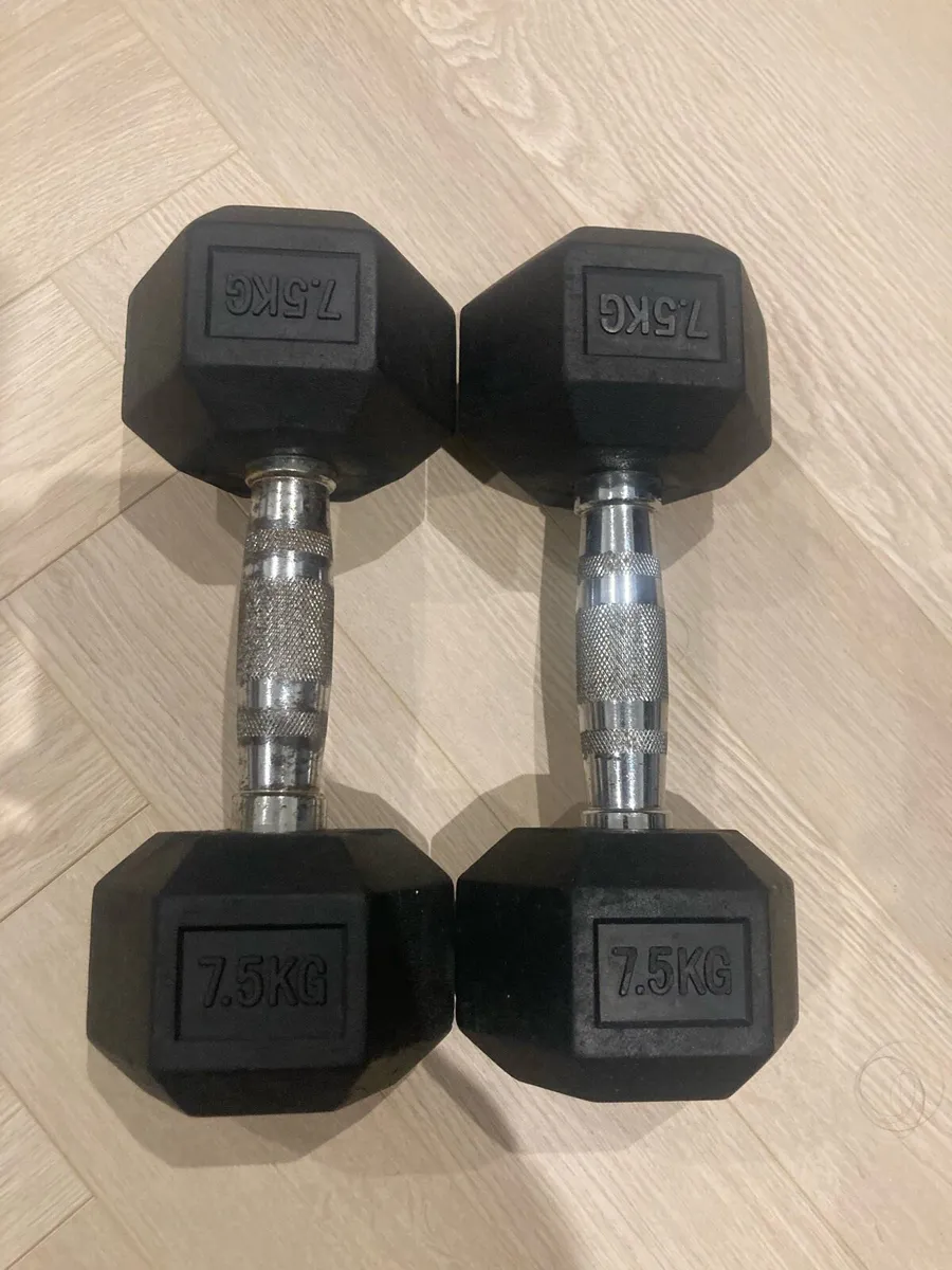 Dumbbells 7.5kg - Image 1