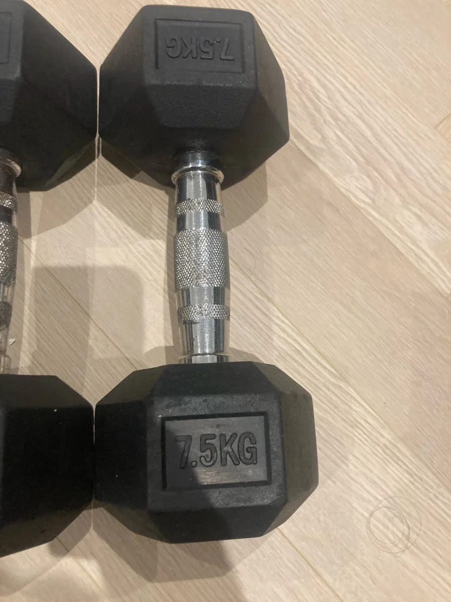Dumbbells 7.5kg - Image 2