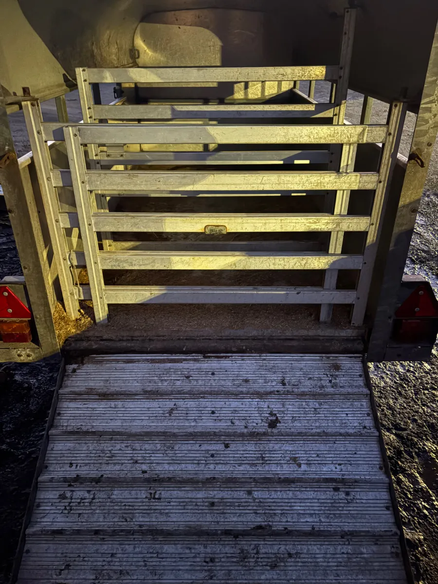 Ifor Williams 8ft sheep calf trailer - Image 3
