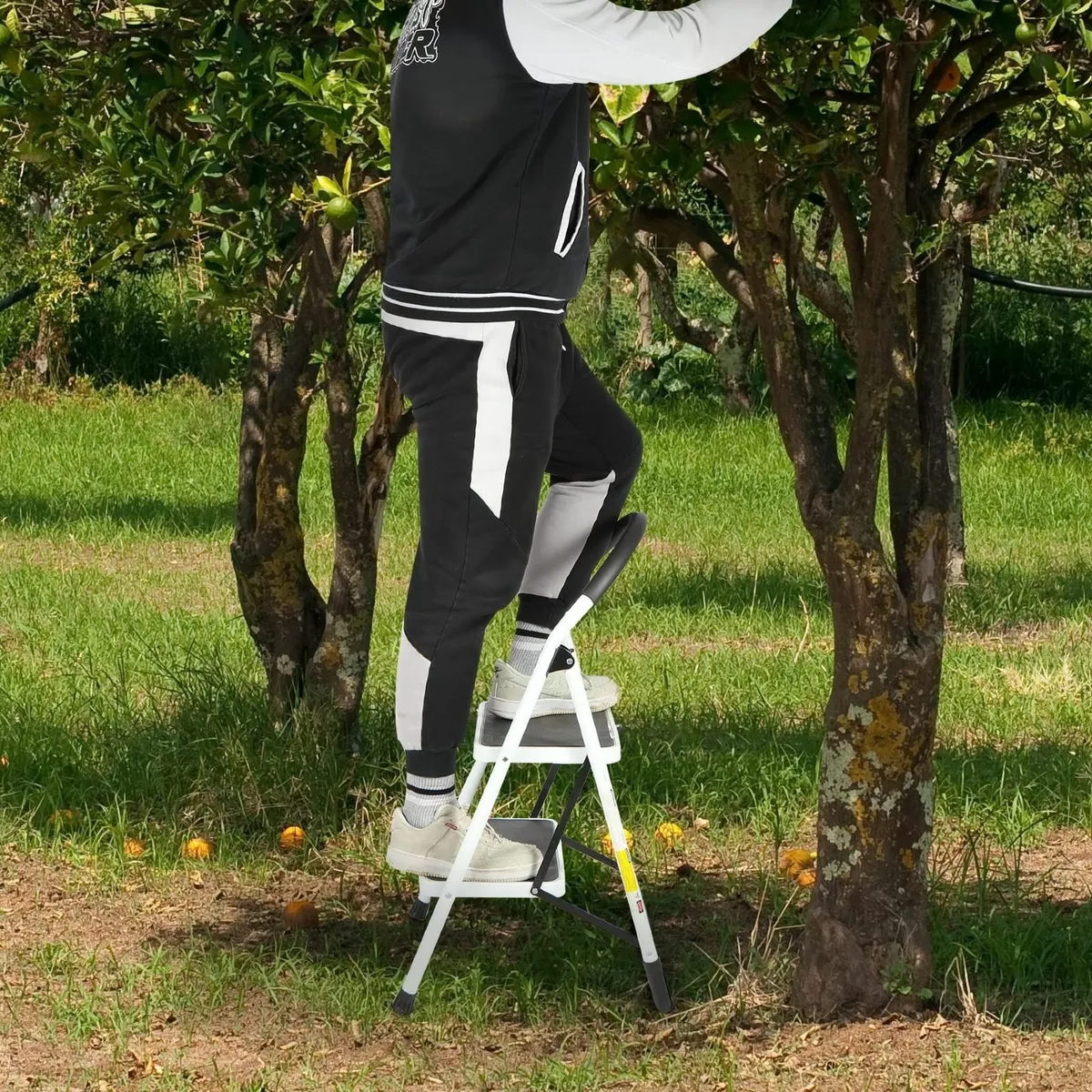 Folding 2 Step Ladder with Handrails Heavy Duty - Image 2