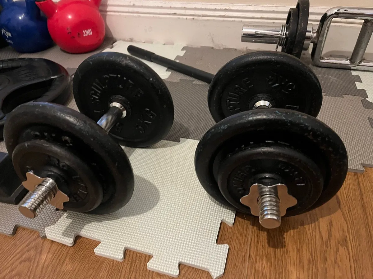 Dumbbells - Image 2