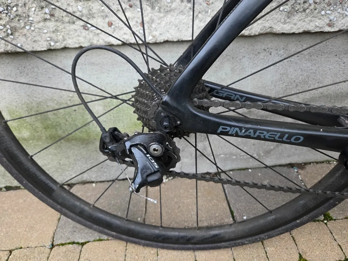 Punarello Gan - Image 1