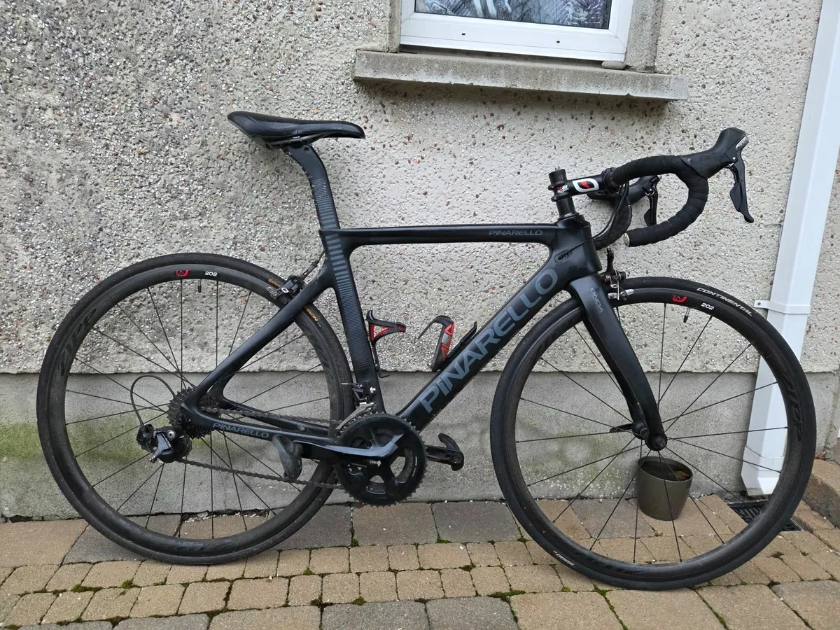 Punarello Gan - Image 3