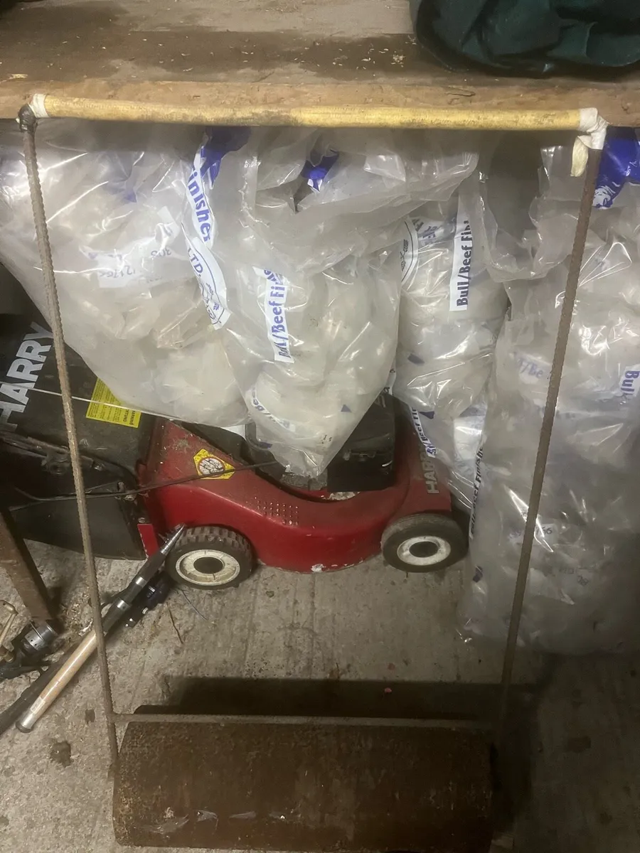 Steel Garden Roller - Image 1