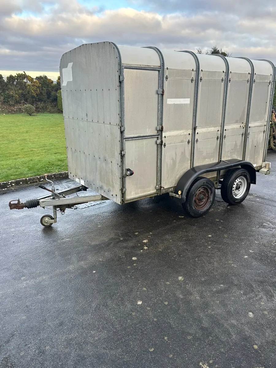 Ifor Williams Cattle Trailer - Image 1